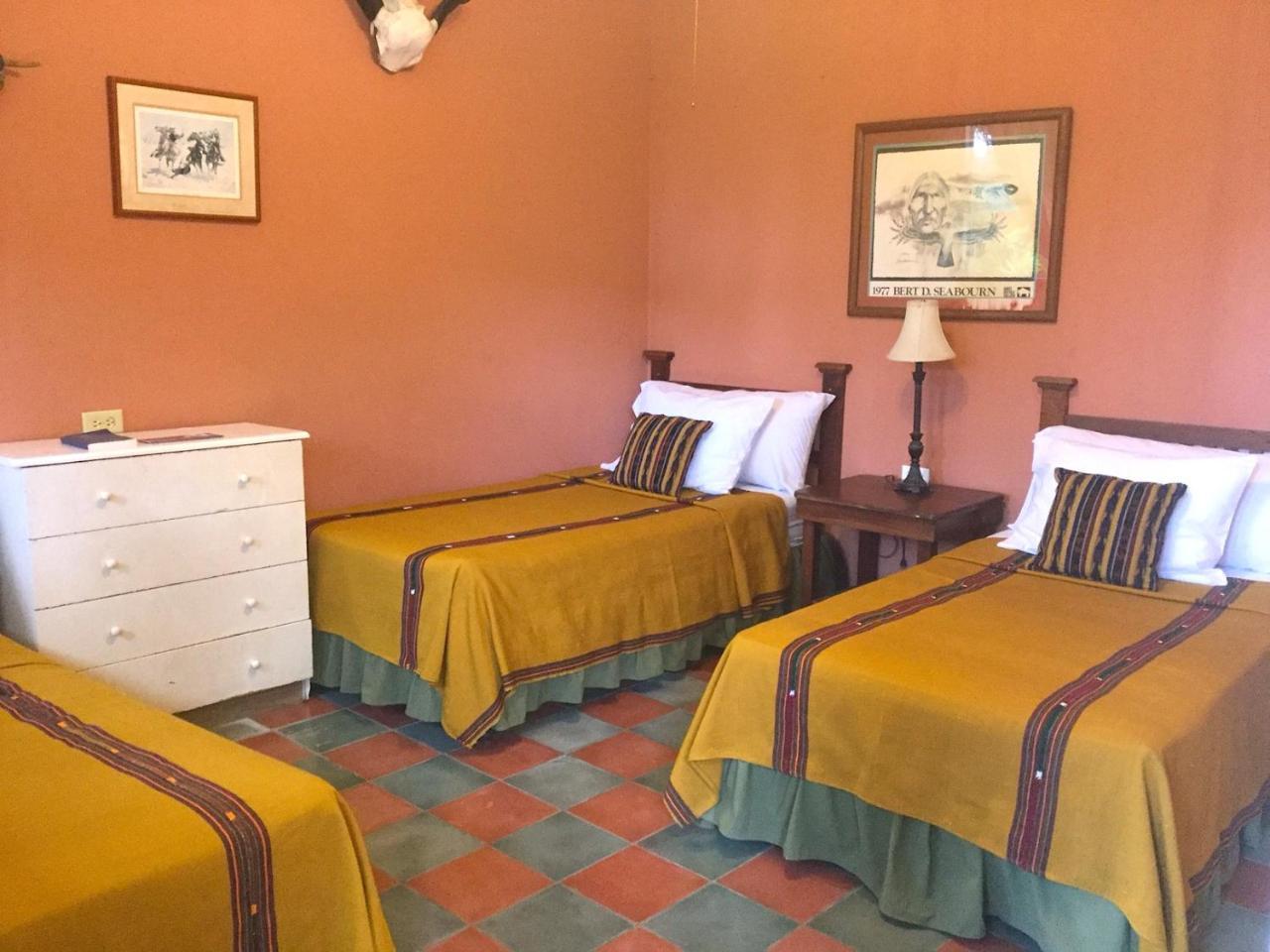 Hotel El Delfin Lívingston Εξωτερικό φωτογραφία